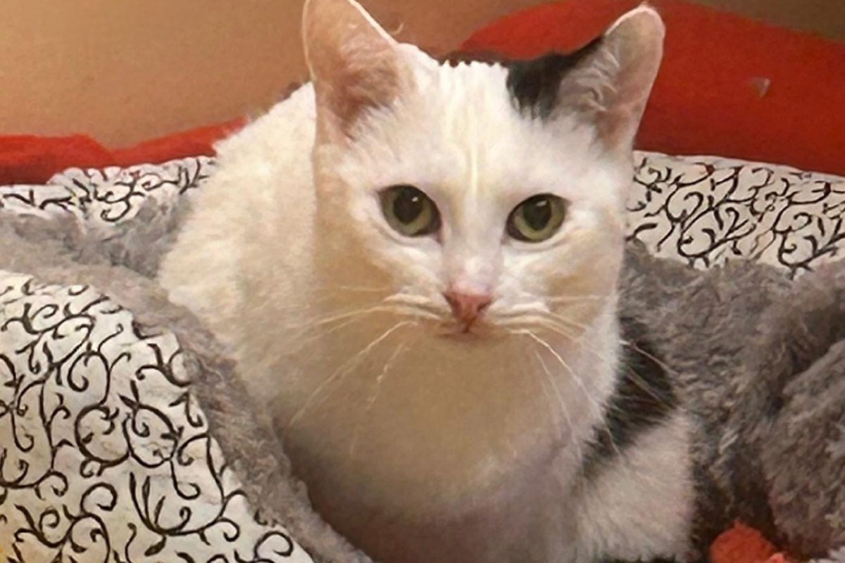 Lena