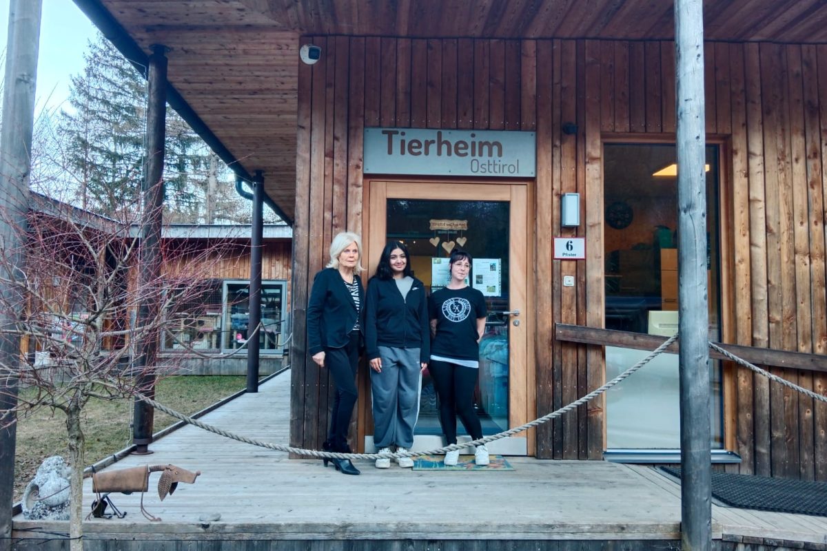 Future-Day-Projekt: Pausenverkauf für Tierheim