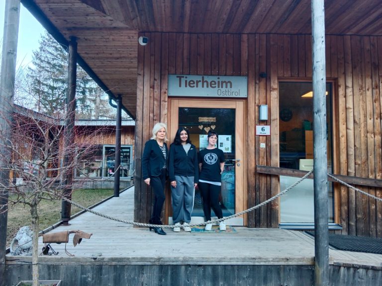 Future-Day-Projekt: Pausenverkauf für Tierheim