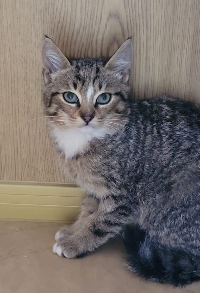 Leo