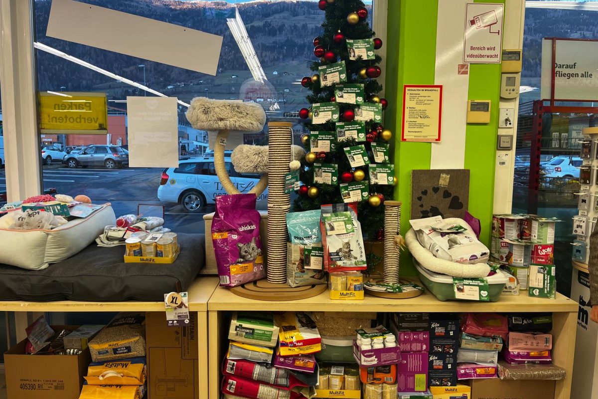 Tierheimwünsche werden wahr