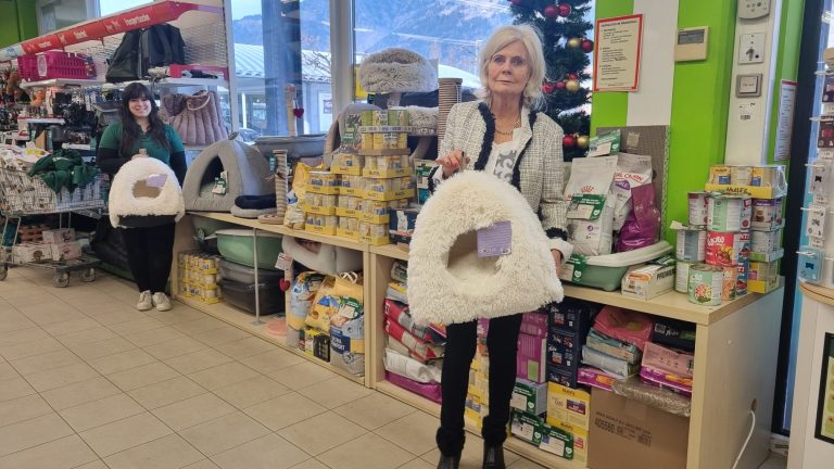 Tierheimwünsche werden wahr – Danke