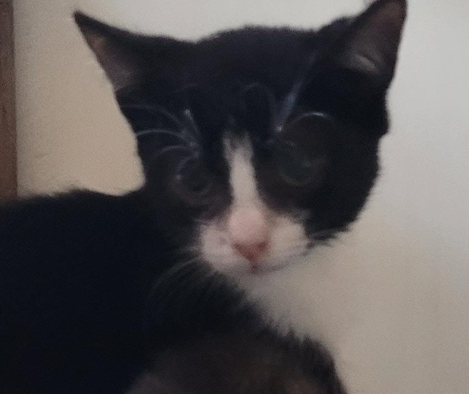 Odin