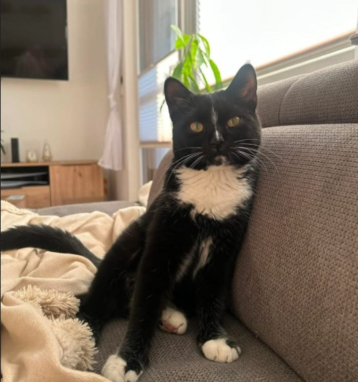 Frankie | Dölsach